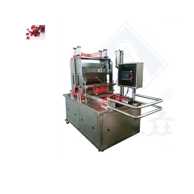 Stainless Steel Multifunctional Machine for Producing Assorted Blueberry Gummy Candies