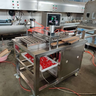 CE Retail Vending Automatic Gummies Candy Production Machine with Deposing Function